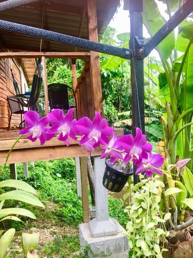 Lanta A Toi House Hotel Koh Lanta Exterior photo